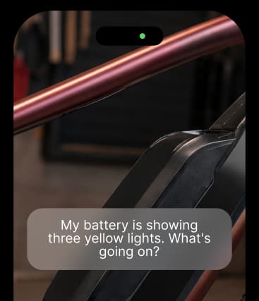 A live video call with the AI technician analyzing an e-bike battery